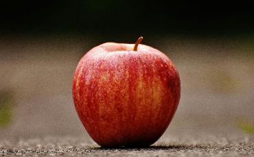 Gasos - Nov 25.1 - 10/16 novembre 2025